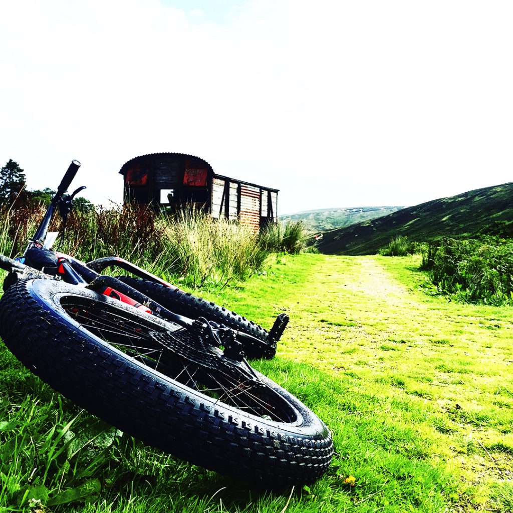 Breamish Behemoth #Beast #mtb