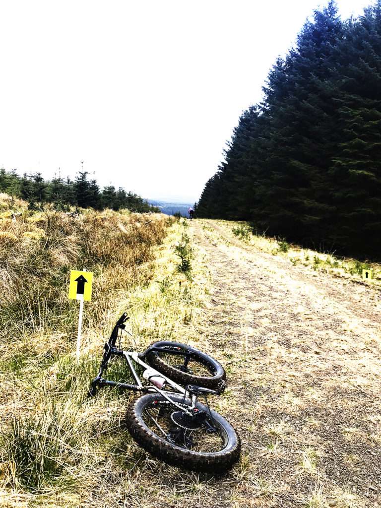 Lewis Burn 8 #awesome